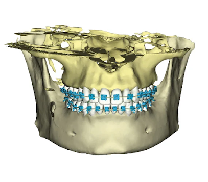Foto de Dra. Paloma Colunga - Clinica Dental