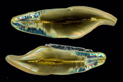 Foto de Estudio Dental Villar