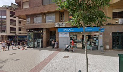 Foto de María Carlota Guardiola Flores